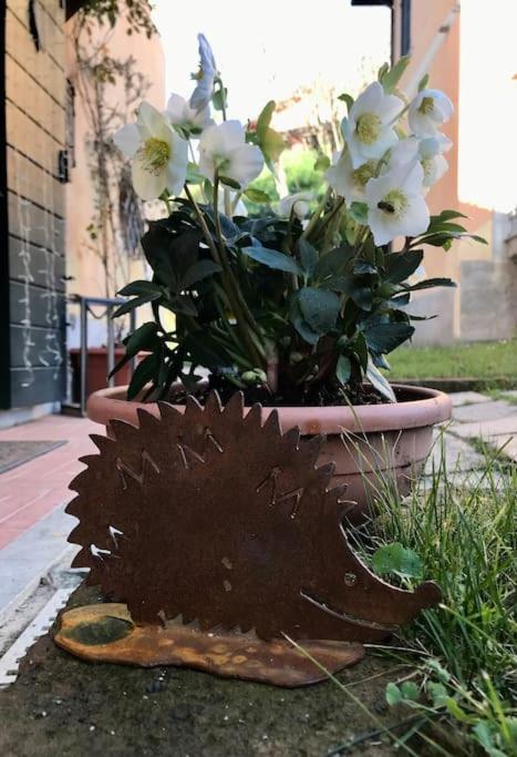 Locanda Del Glis Glis Castelletto d'Orba Exterior foto